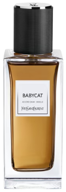 Babycat Yves Saint Laurent for women and men