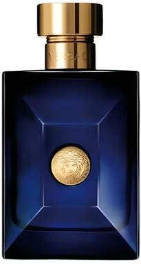 Versace Pour Homme Dylan Blue Versace for men