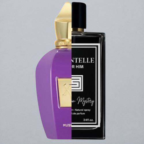 Muse Xerjoff for women and men