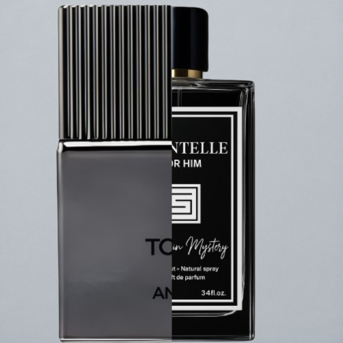 Noir Anthracite Tom Ford for men