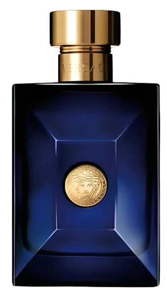 Versace Pour Homme Dylan Blue Versace for men