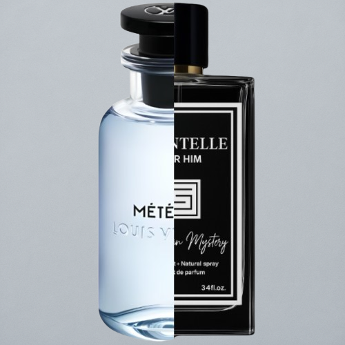 Louis Vuitton Meteor for Men